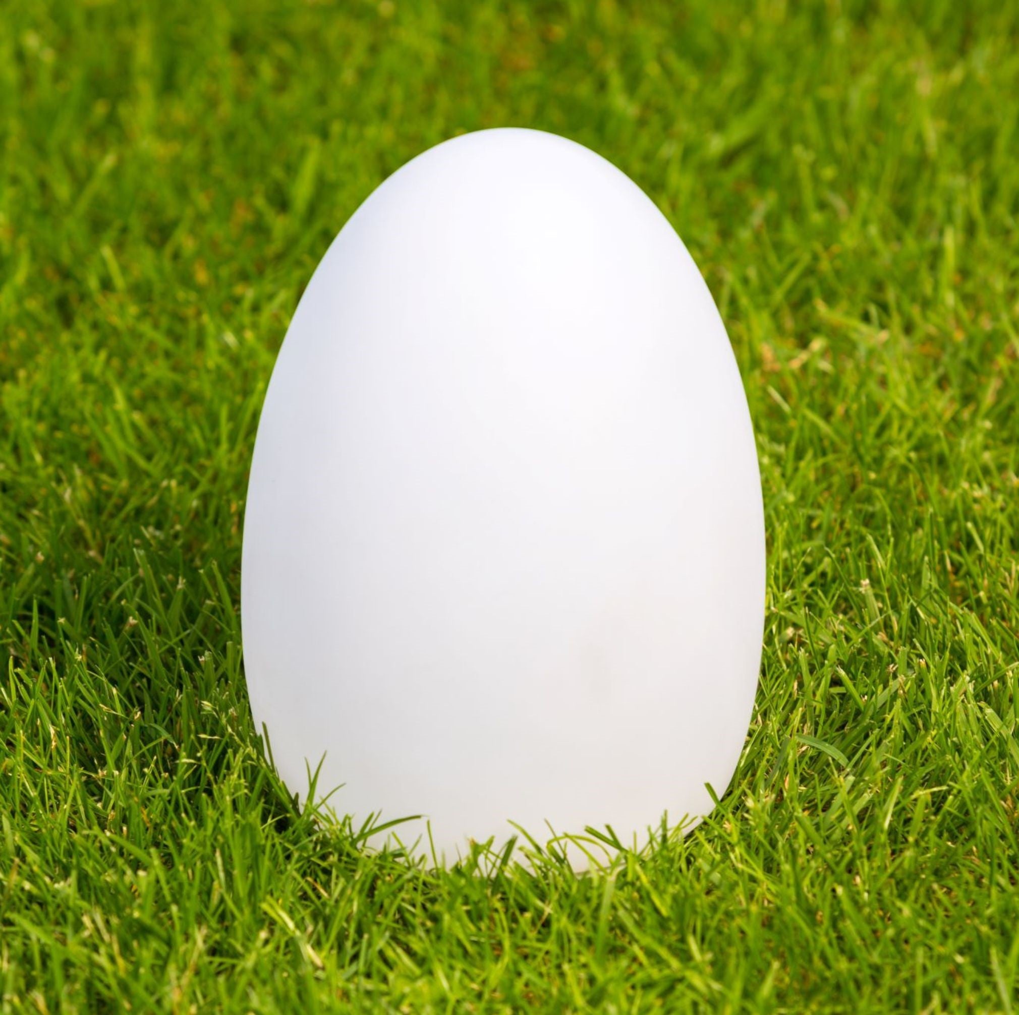 EGG - kabellose, bruchfeste Tischleuchte App-Steuerung von Smart and Green